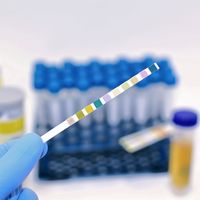 Test-it 10™ Urine Test Strip